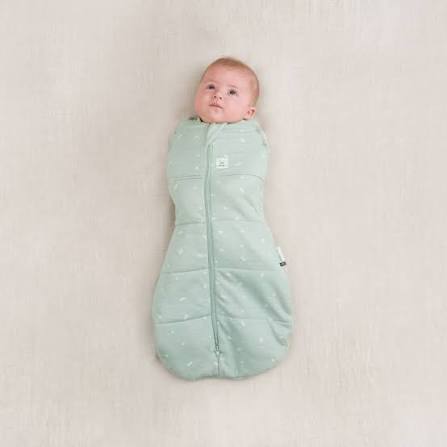 Ergopouch cocoon tog 2.5. - mint (3-6m) 